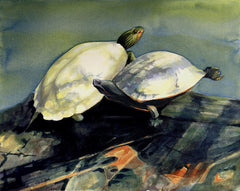 Two Turtles I