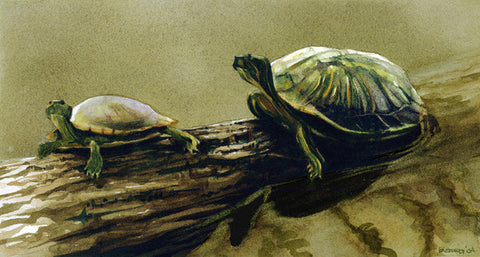 Two Turtles III