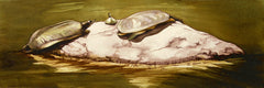 Three Turtles I