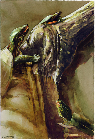 Three Turtles III