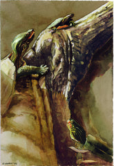 Three Turtles III