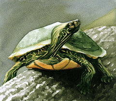 Basking