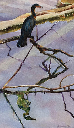 Cormorant