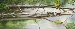 Five Turtles