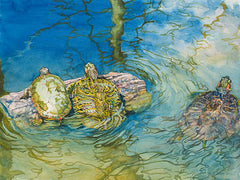 Flotilla