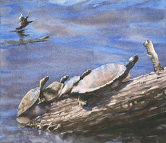 Four on a Log