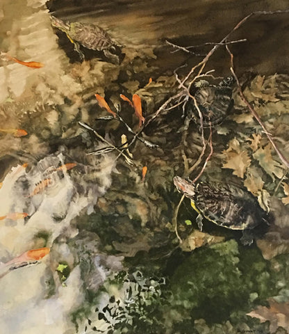 Red-ears with Goldfish II
