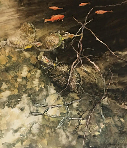 Red-ears with Goldfish I