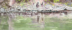 Root Writings IV