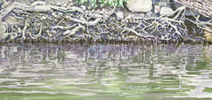 Root Writings V