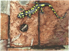 Salamander on the Bricks