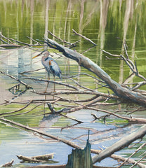 Standing Heron
