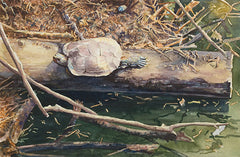The Lounging Log