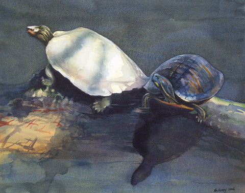 Two Turtles II