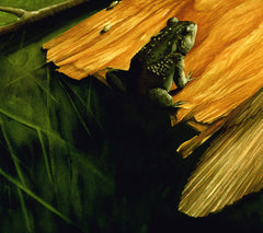 Basking Toad